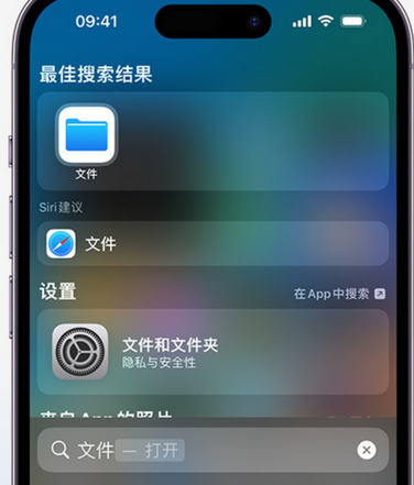 广饶apple维修中心分享iPhone文件应用中存储和找到下载文件 