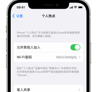 广饶apple服务站点分享iPhone上个人热点丢失了怎么办 