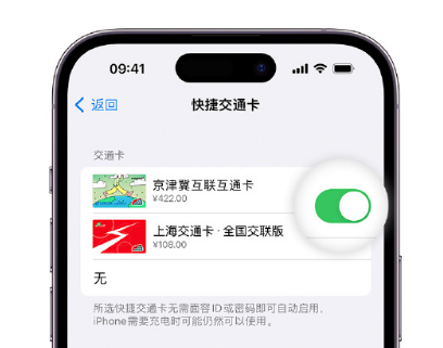 广饶apple维修点分享iPhone上更换Apple Pay快捷交通卡手绘卡面 