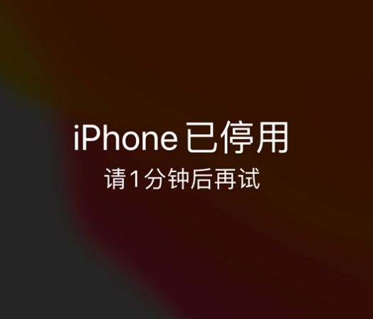 广饶苹果手机维修分享:iPhone 显示“不可用”或“已停用”怎么办？还能保留数据吗？ 