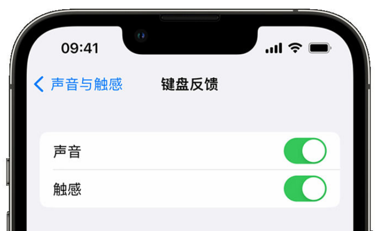 广饶苹果手机维修分享iPhone 14触感键盘使用方法 