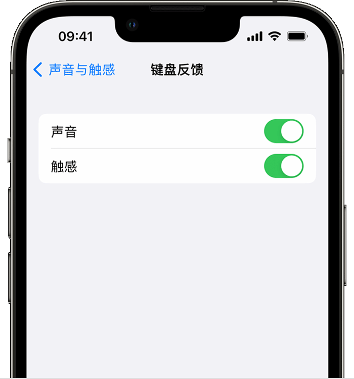 广饶苹果14维修店分享如何在 iPhone 14 机型中使用触感键盘 