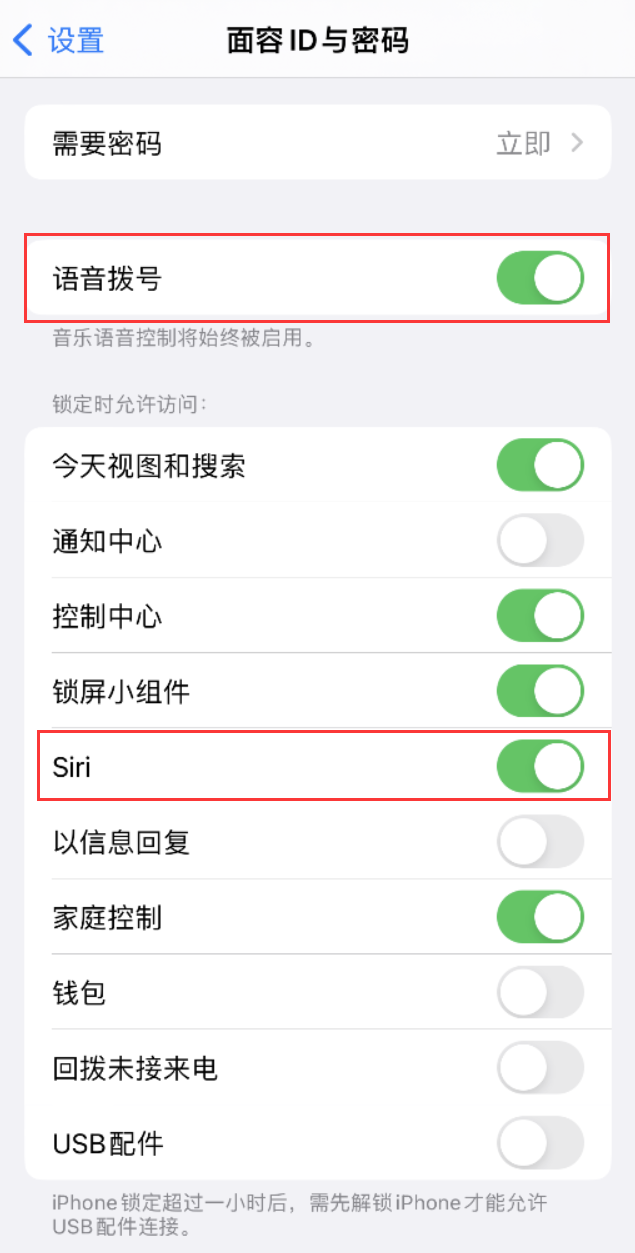 广饶苹果维修网点分享不解锁 iPhone 的情况下通过 Siri 拨打电话的方法 