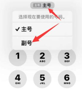 广饶苹果14维修店分享iPhone 14 Pro Max使用副卡打电话的方法 