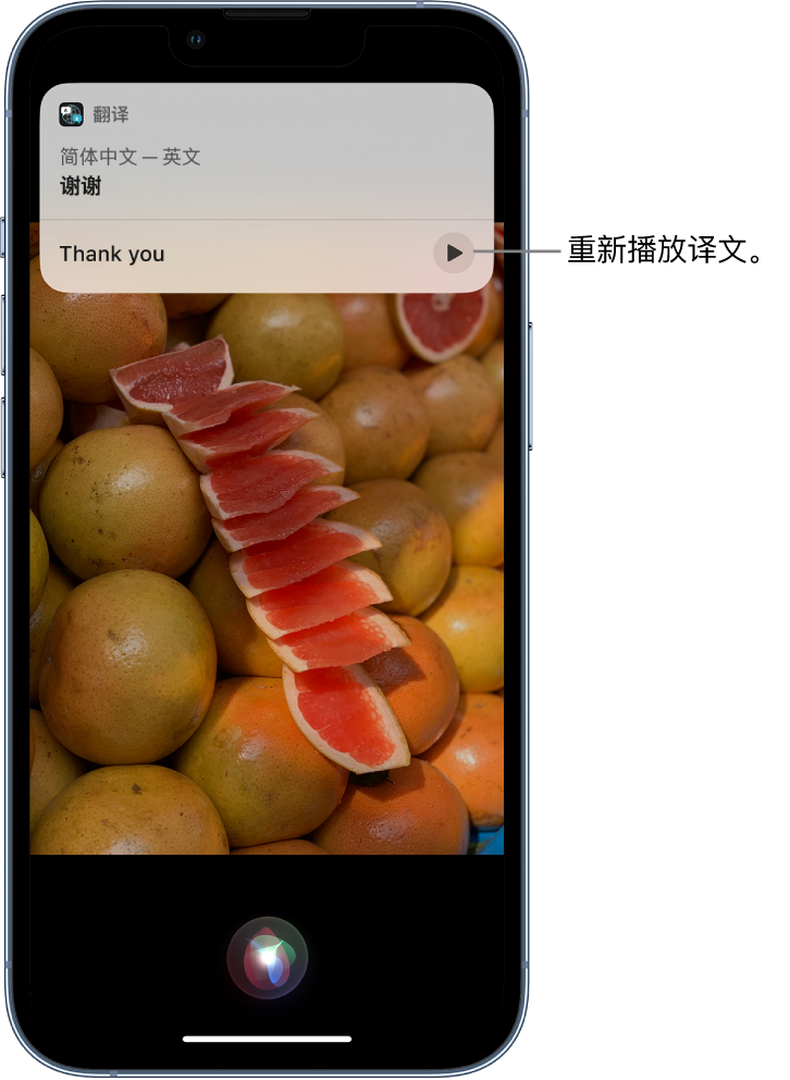 广饶苹果14维修分享 iPhone 14 机型中使用 Siri：了解 Siri 能帮你做什么 