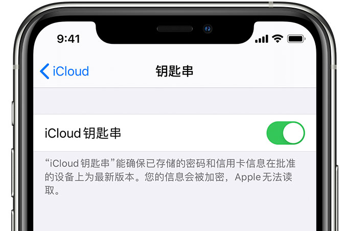 广饶苹果手机维修分享在 iPhone 上开启 iCloud 钥匙串之后会储存哪些信息 